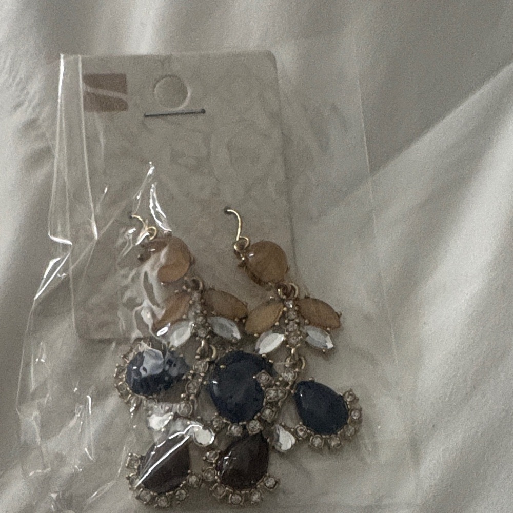Chic Navy and Gold Teardrop Earrings